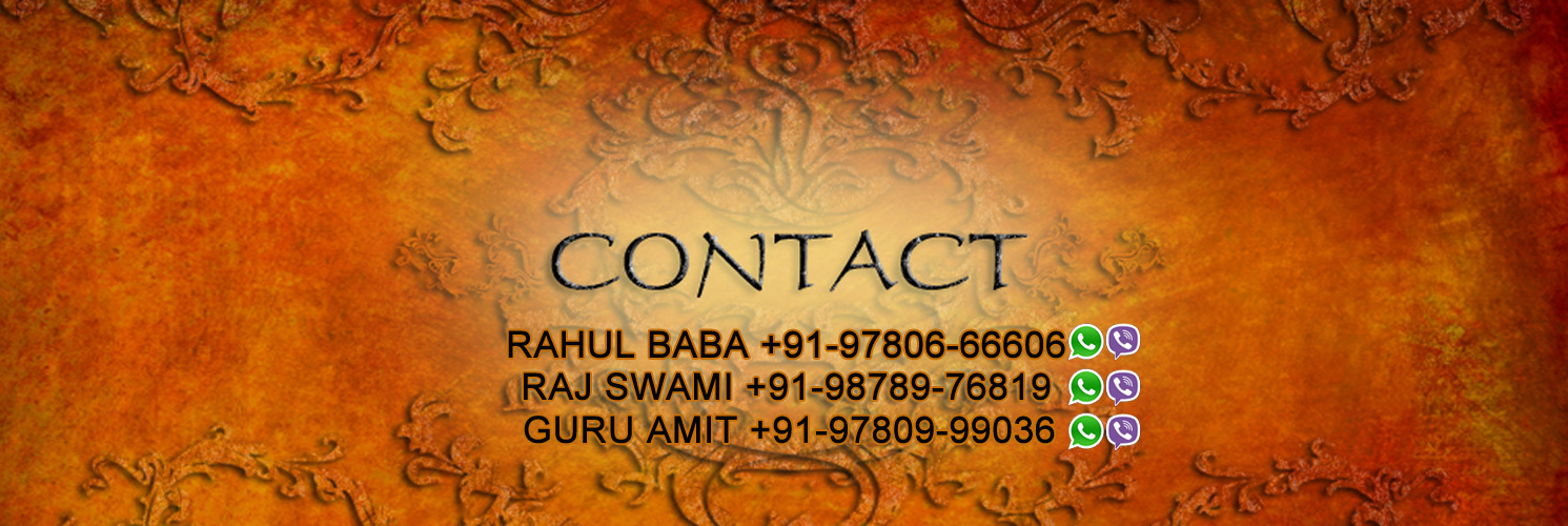 contact us indianastrologyguru